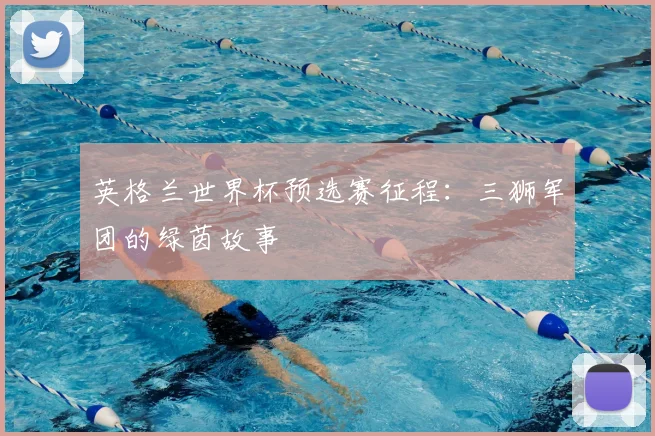 英格兰世界杯预选赛征程：三狮军团的绿茵故事