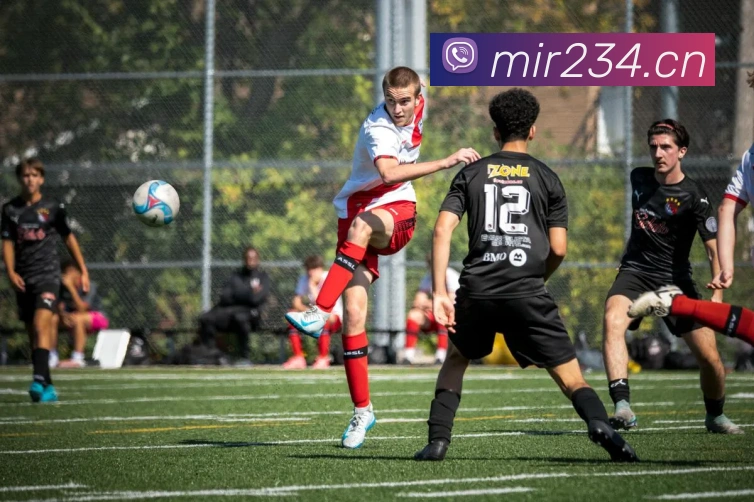 华体app网页版登录入口平台生态图